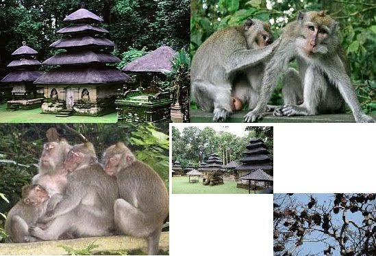 alas kedaton tabanan bali