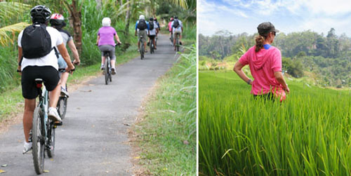 bali cycling tour murah