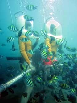 bali ocean walker