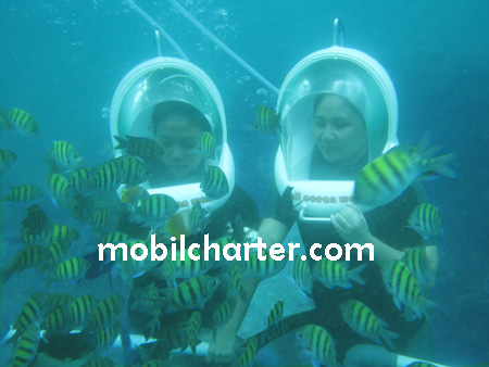 ocean walker bali