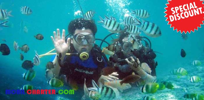 diving di tanjung benoa bali