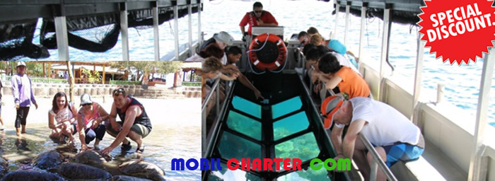 glass buttom boat penyu bali tanjung benoa bali